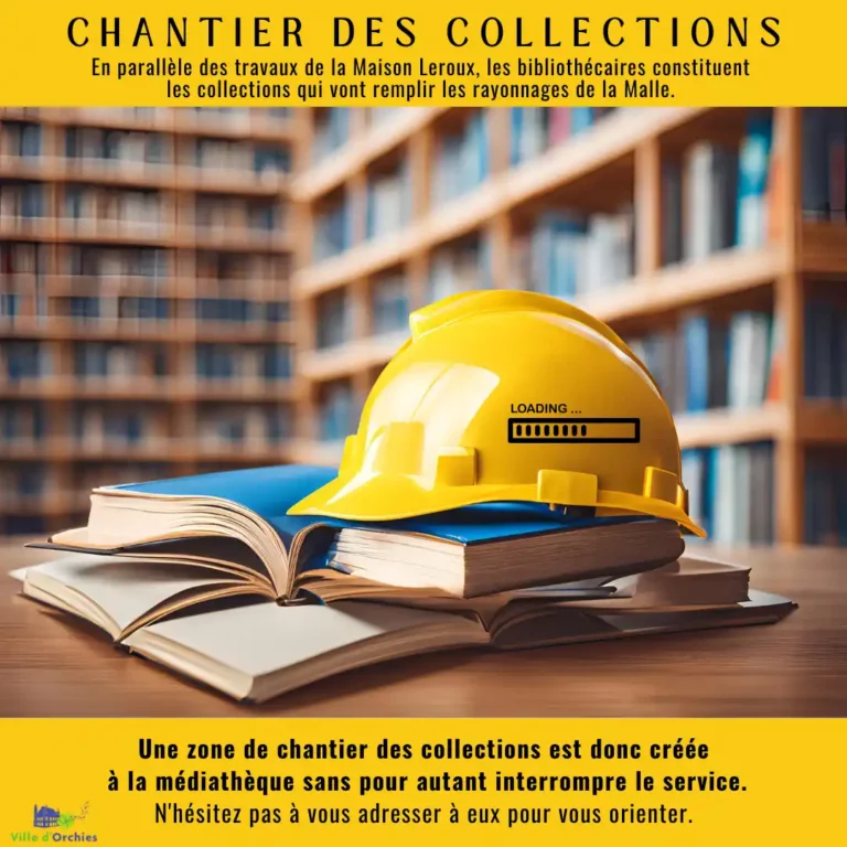 Lire la suite à propos de l’article Chantier des collections de la Médiathèque